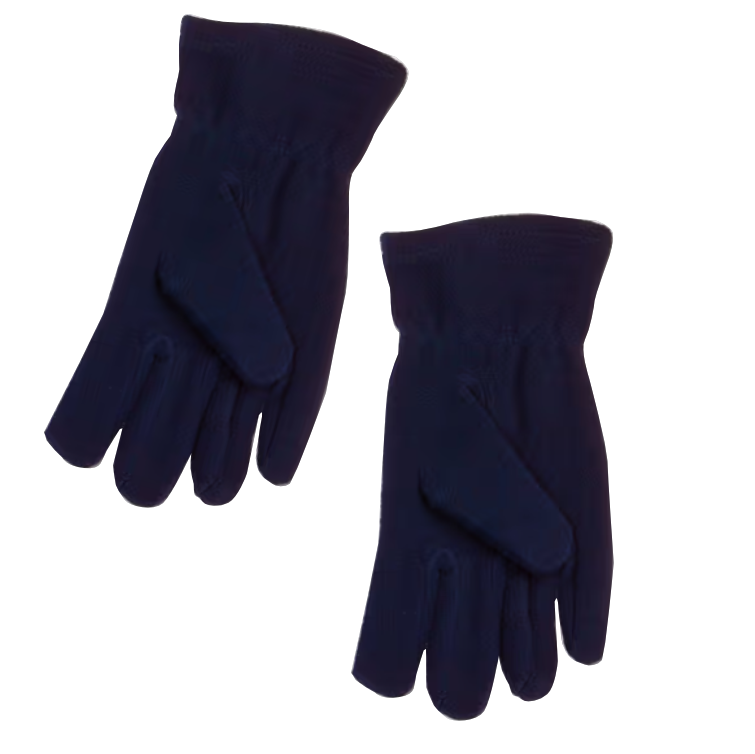 Blizzard Gloves