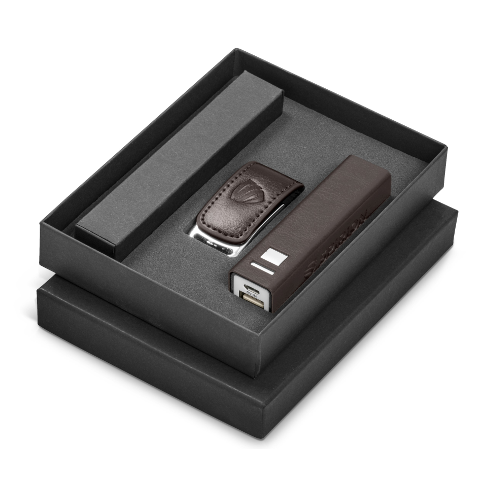 Renaissance Power Bank And Usb Gift Set