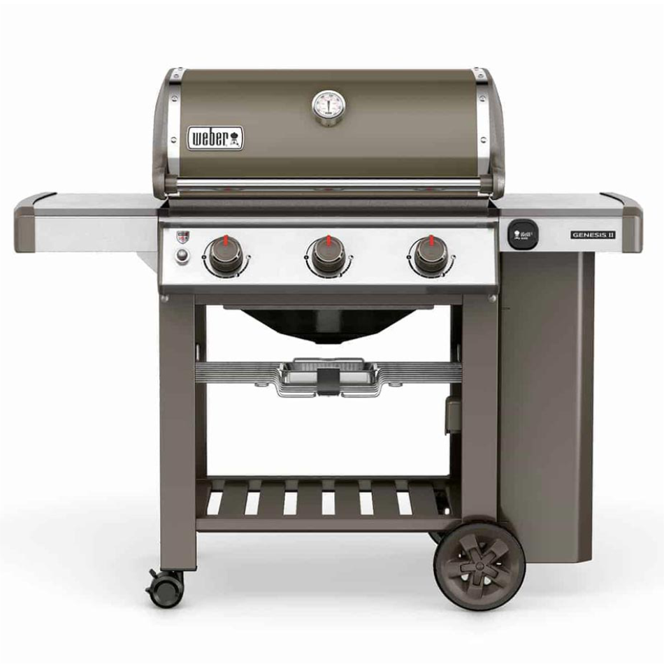 Genesisii E-310 Gbs Za