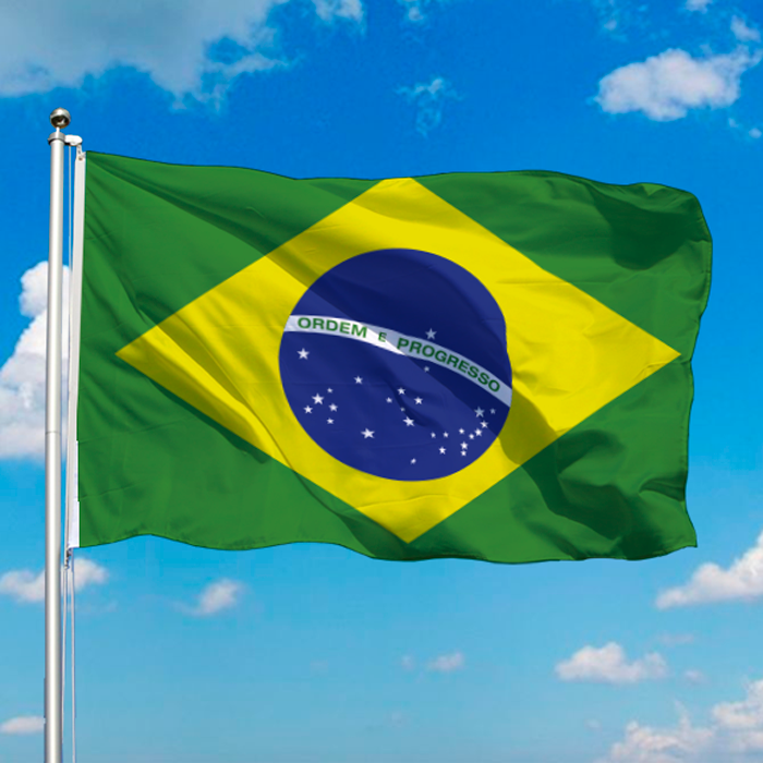 Brazil Flag