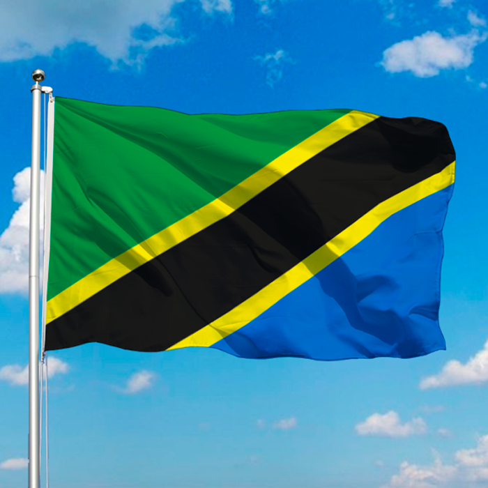 Tanzania Flag