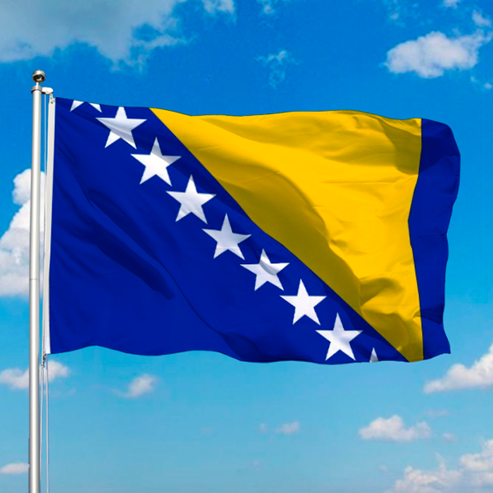 Bosnia/hertzogovina Flag