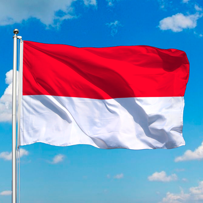 Indonesia Flag