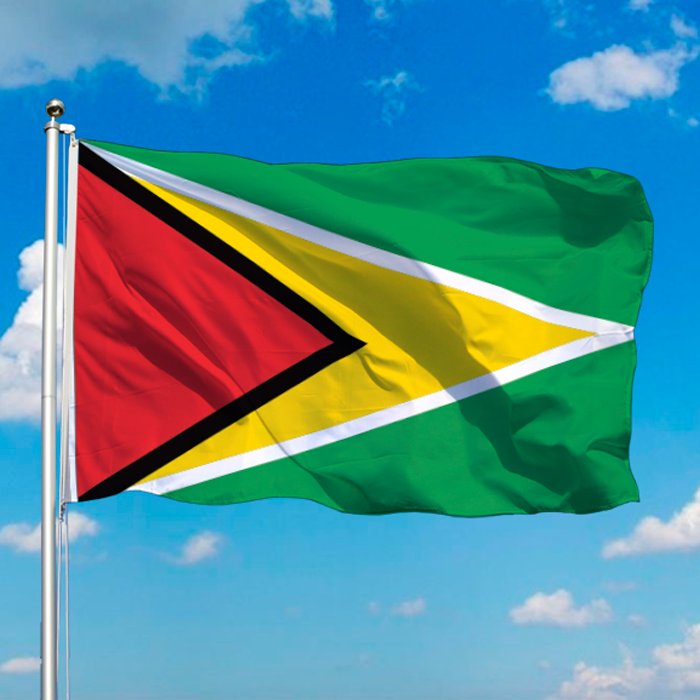 Guyana Flag