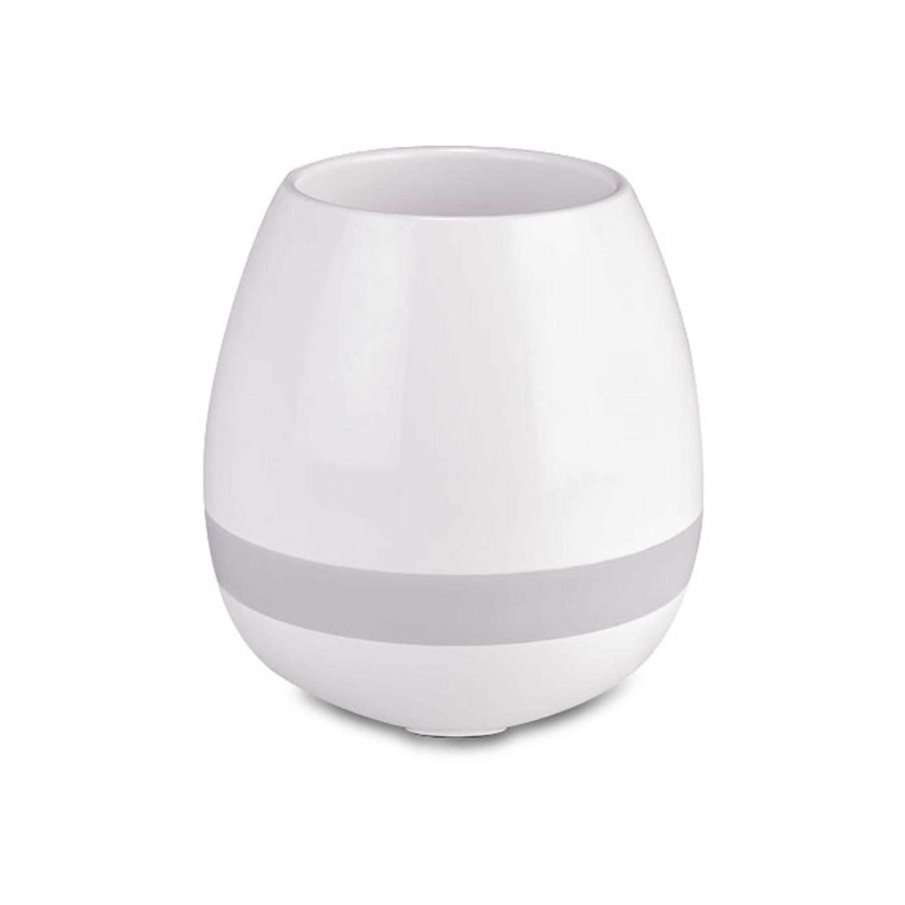 Beethoven Musical Flowerpot