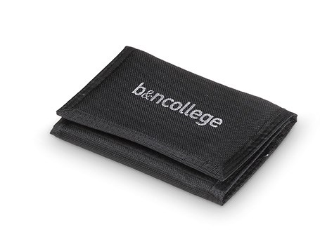 Payday Wallet