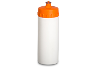 Palm 600ml Water Bottle