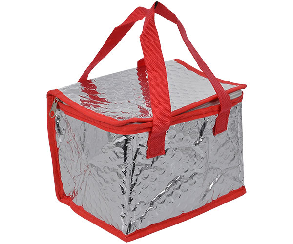 Insulated 6 Pack Cooler