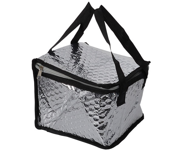 Large Insulated 6 Pack Cooler