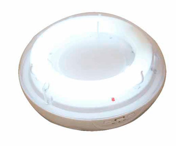 Flourescent Tube Light